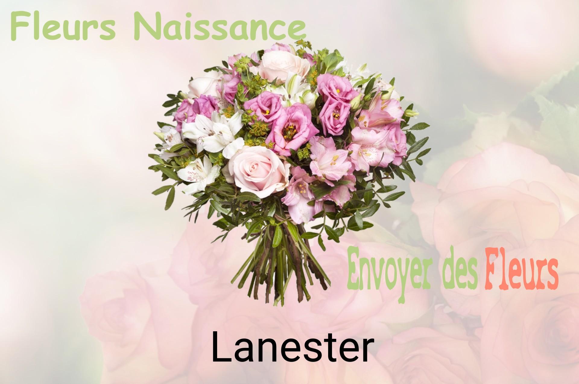 Bouquet de fleurs de naissance livré à Lanester